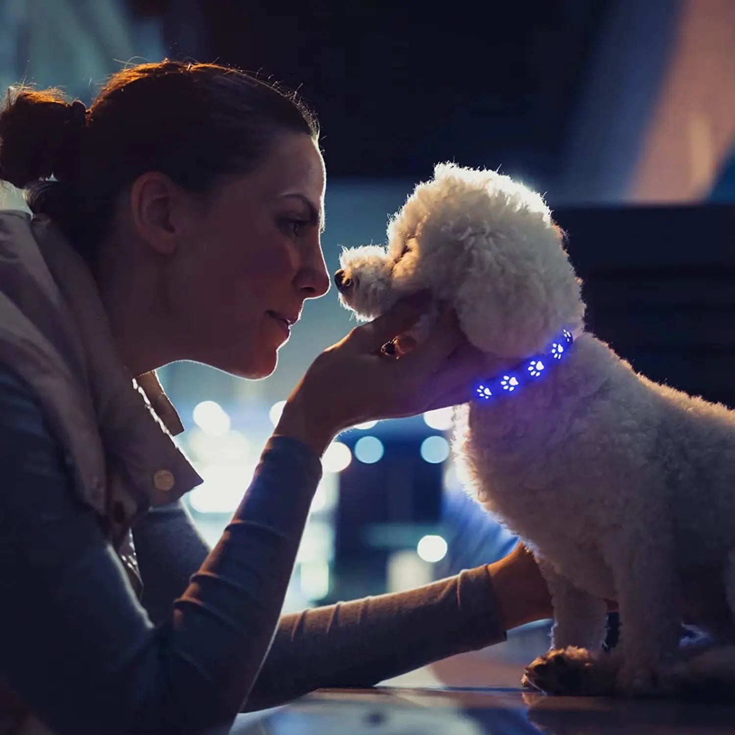 Rechargeable LED Dog Collar - Rainproof Nylon with USB-C Charging, Luminous Design in 3 Colors and 6 Modes for Enhanced Pet Safety Does not apply