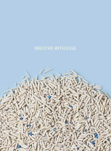 Dog Hugs Cat 6L Activated Charcoal Tofu Cat Litter With Natural Deodorizing Power For Superior Odor Control - Animals & Pet Supplies > Pet Supplies > Cat Supplies > Cat Litter Cat Litter