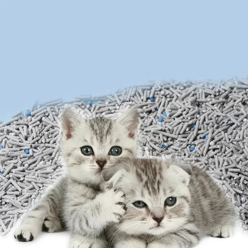 6L Activated Charcoal Tofu Litter With Natural Deodorizing Power Dog Hugs Cat