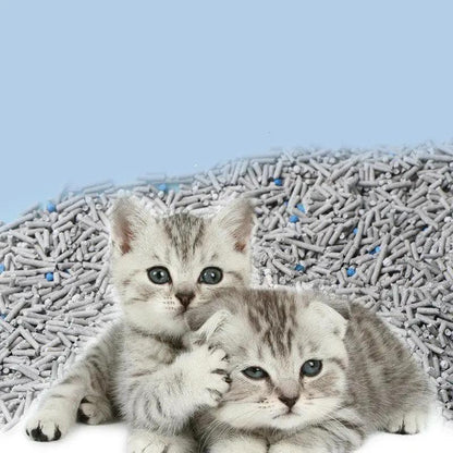 Dog Hugs Cat 6L Activated Charcoal Tofu Cat Litter With Natural Deodorizing Power For Superior Odor Control - Animals & Pet Supplies > Pet Supplies > Cat Supplies > Cat Litter Cat Litter