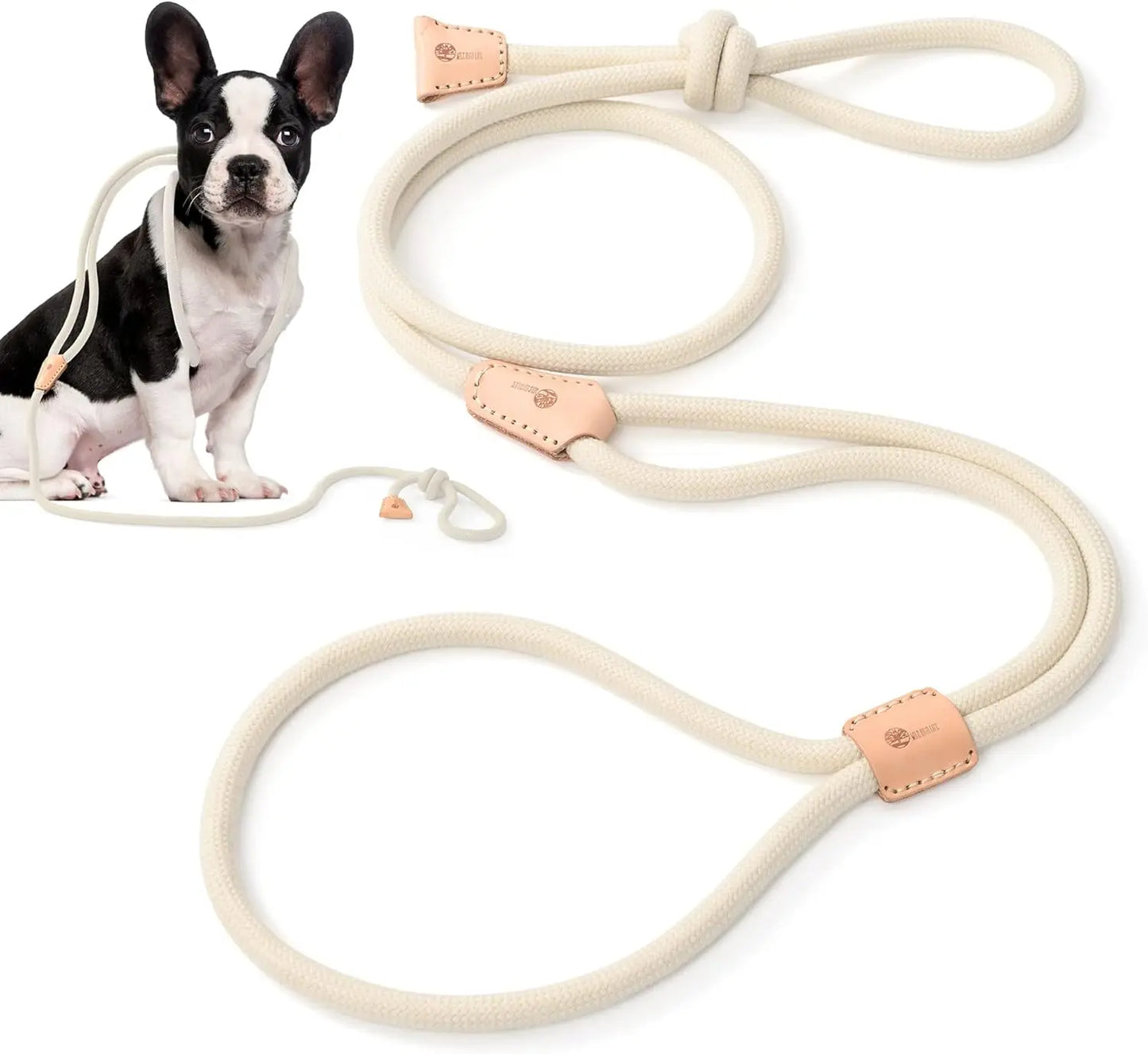 Mile High Life Bungee Dog Leash - Gentle Pull Training Lead with Soft Comfort Texture, 3-5 Feet Length for Dogs and Cats Under 20 lbs (Lime/Pink) Universal Promotions