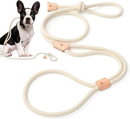 Universal Promotions Mile High Life Bungee Dog Leash For Small Dogs Elastic Stretch 3 To 5 Feet In Blue Orange Lime Pink - Animals & Pet Supplies > Pet Supplies > Pet Leashes Dog