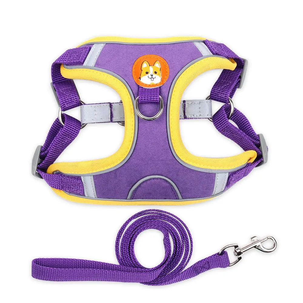 Reflective breathable pet harness set in purple with yellow trim and matching leash for dog safety and comfort