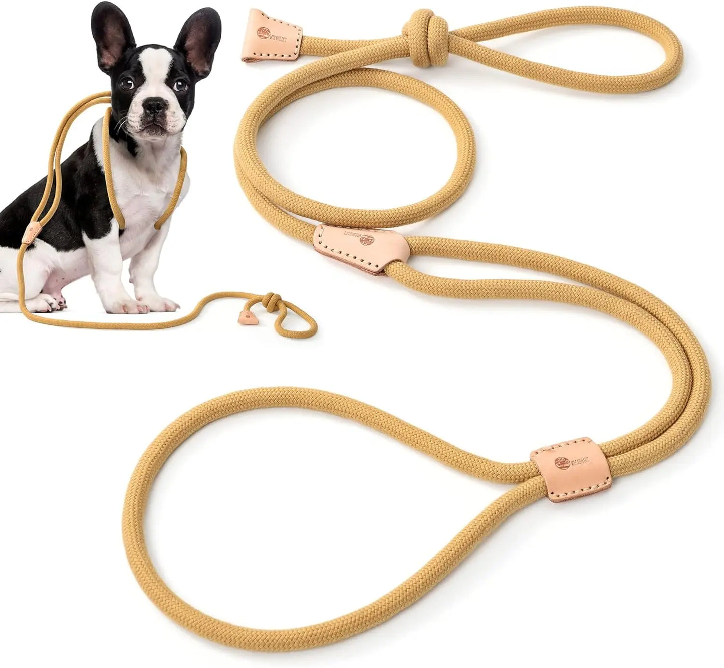 Mile High Life Bungee Dog Leash - Gentle Pull Training Lead with Soft Comfort Texture, 3-5 Feet Length for Dogs and Cats Under 20 lbs (Lime/Pink) Universal Promotions