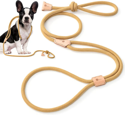Universal Promotions Mile High Life Bungee Dog Leash For Small Dogs Elastic Stretch 3 To 5 Feet In Blue Orange Lime Pink - Animals & Pet Supplies > Pet Supplies > Pet Leashes Dog