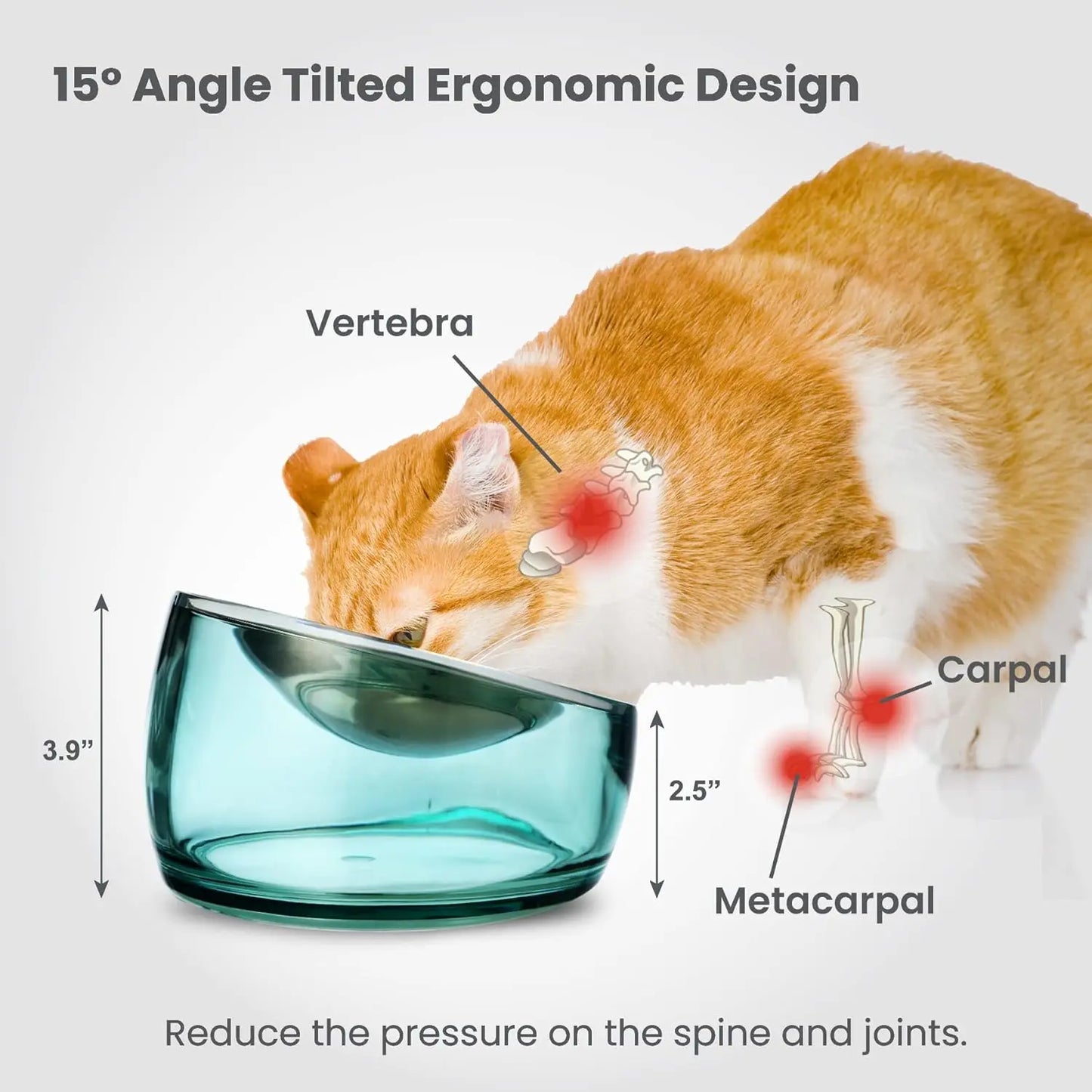 Felli Oblik Elevated Cat Food Bowl - 304 Stainless Steel Removable Dish with Anti-Vomiting and Whisker Fatigue Features, 15° Tilted Non-Slip Stand, Classic Design (0.5 Cup) Felli