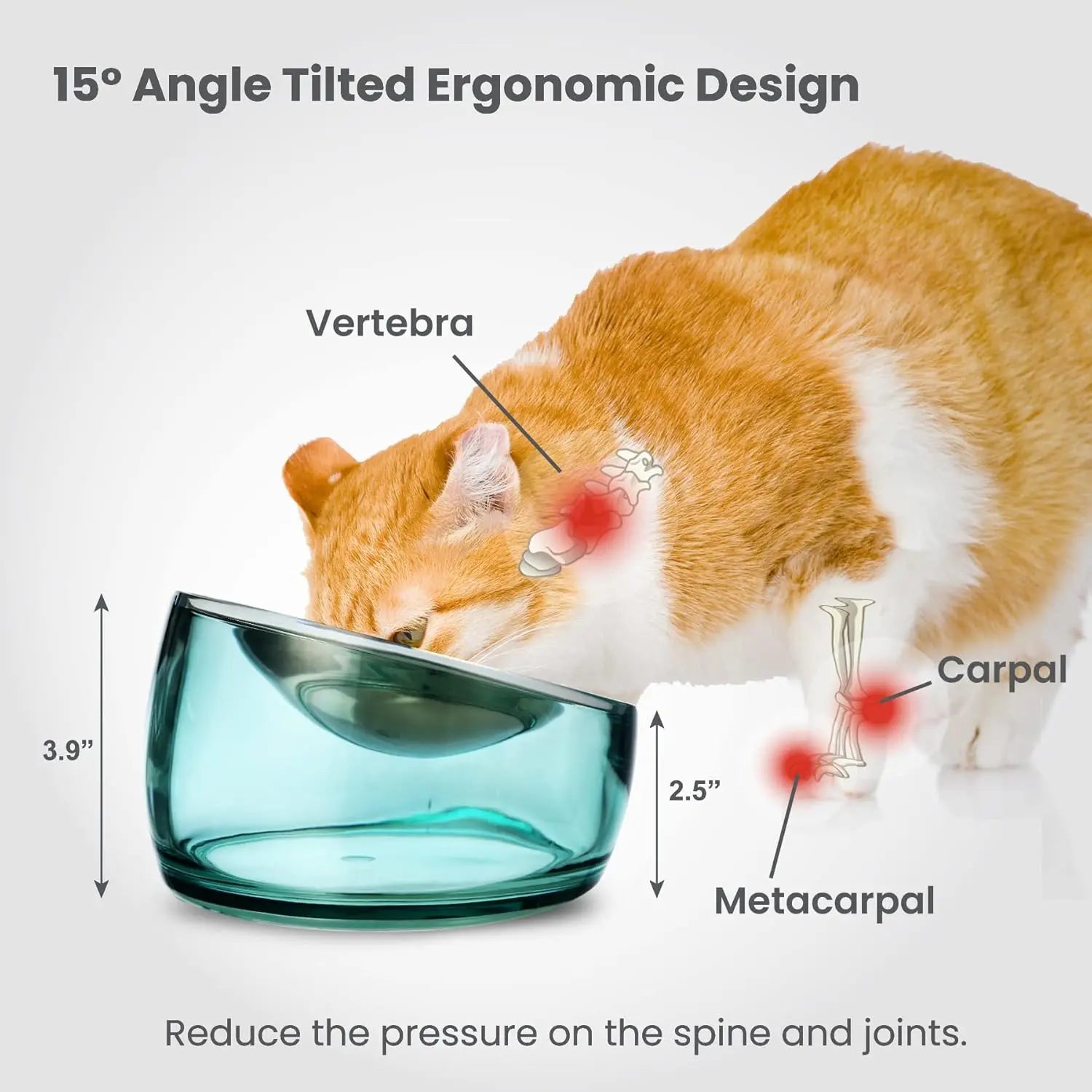 Felli Oblik Elevated Cat Food Bowl - 304 Stainless Steel Removable Dish with Anti-Vomiting and Whisker Fatigue Features, 15° Tilted Non-Slip Stand, Classic Design (0.5 Cup) Felli