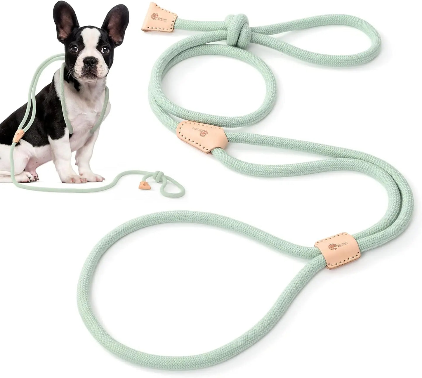 Mile High Life Bungee Dog Leash - Gentle Pull Training Lead with Soft Comfort Texture, 3-5 Feet Length for Dogs and Cats Under 20 lbs (Lime/Pink) Universal Promotions