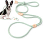 Universal Promotions Mile High Life Bungee Dog Leash For Small Dogs Elastic Stretch 3 To 5 Feet In Blue Orange Lime Pink - Animals & Pet Supplies > Pet Supplies > Pet Leashes Dog