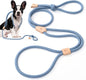 Universal Promotions Mile High Life Bungee Dog Leash For Small Dogs Elastic Stretch 3 To 5 Feet In Blue Orange Lime Pink - Animals & Pet Supplies > Pet Supplies > Pet Leashes Dog