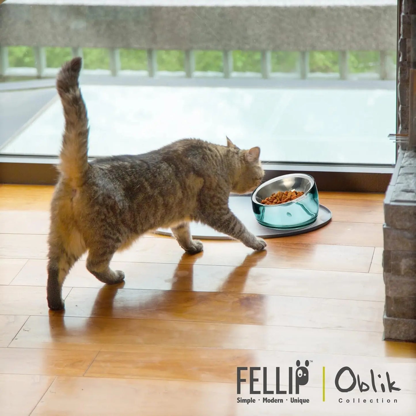 Felli Oblik Elevated Cat Food Bowl - 304 Stainless Steel Removable Dish with Anti-Vomiting and Whisker Fatigue Features, 15° Tilted Non-Slip Stand, Classic Design (0.5 Cup) Felli
