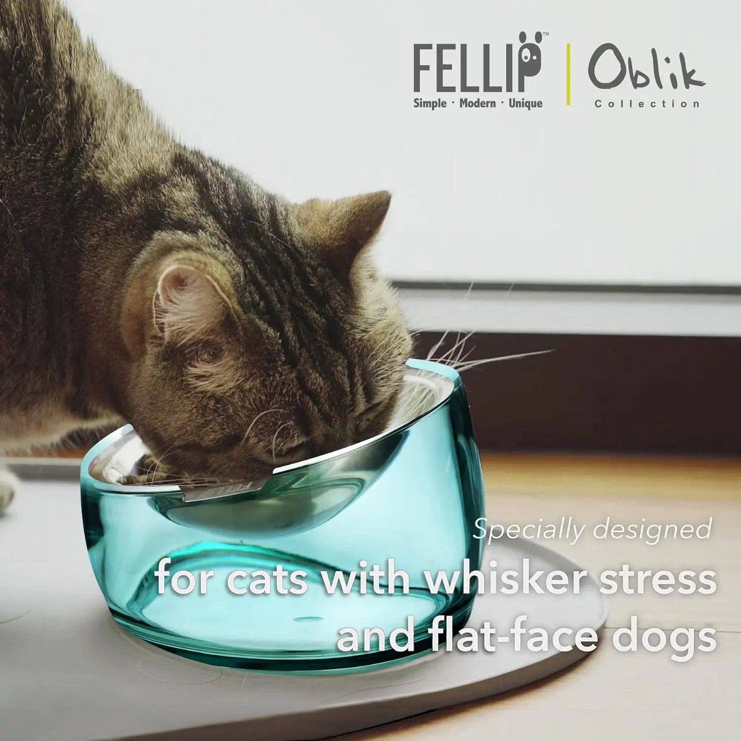 Felli Oblik Elevated Cat Food Bowl - 304 Stainless Steel Removable Dish with Anti-Vomiting and Whisker Fatigue Features, 15° Tilted Non-Slip Stand, Classic Design (0.5 Cup) Felli