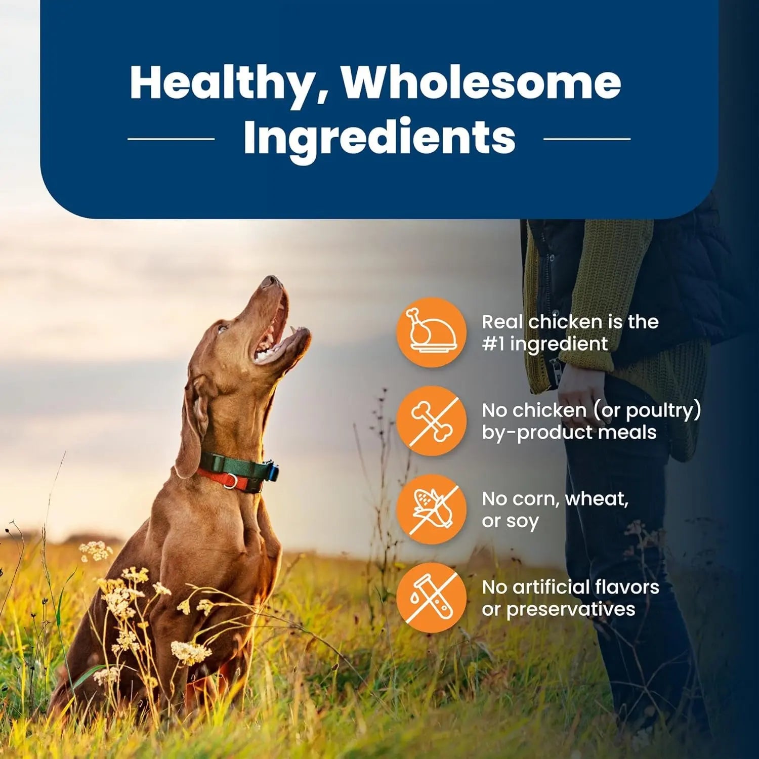 Blue Buffalo Life Protection Formula Large Breed Adult Dry Dog Food, Chicken & Brown Rice Recipe, 30-Lb Bag - Supports Joint Health and Promotes Lean Muscle with Natural Ingredients Blue Buffalo Company, Ltd