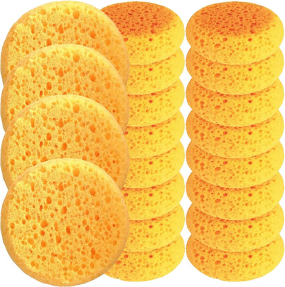HUABIAO Box Of 12 Coarse Hole Tack Sponges For Heavy Duty Cleaning And Durable Polyurethane Construction - Sporting Goods > Outdoor Recreation > Equestrian > Horse Care Equine
