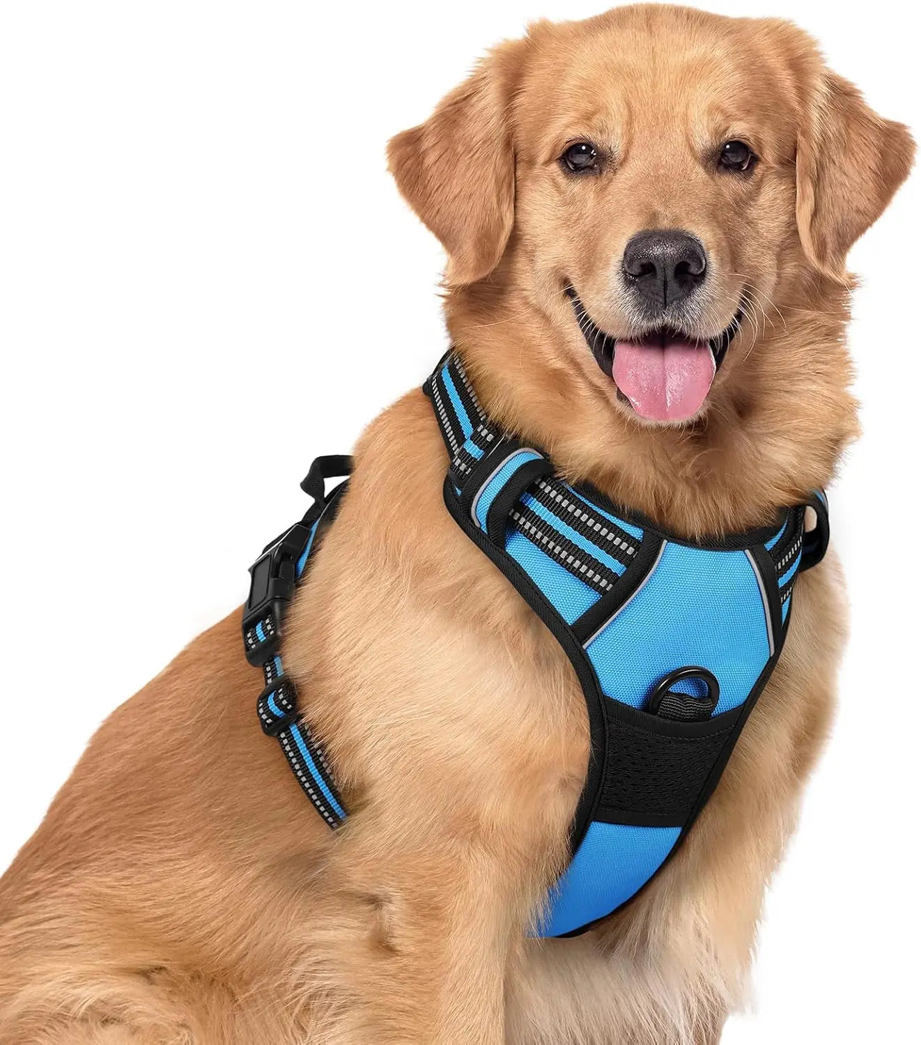 Rabbitgoo Dog Harness No Pull with 2 Leash Clips GLOBEGOU CO.,LTD