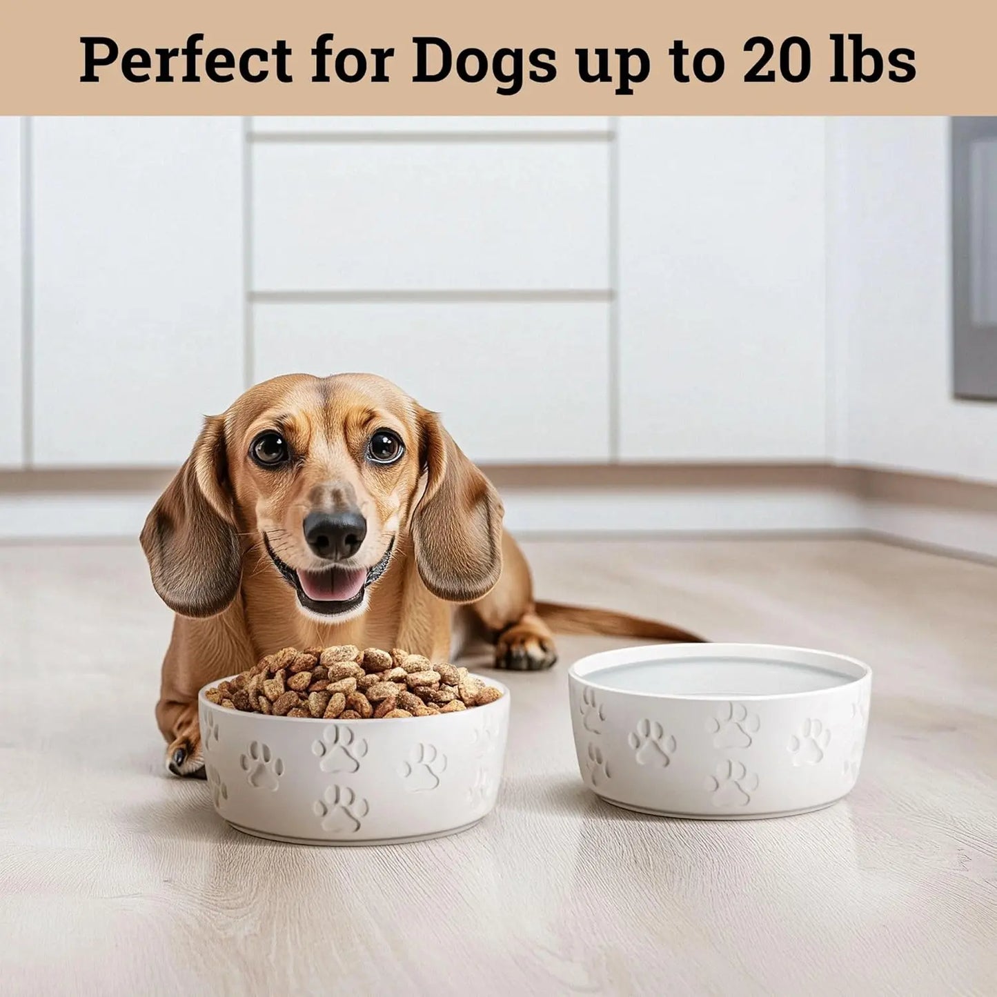 Stylish & Functional Ceramic Dog Bowl Set of 2 - Perfect for Small Dogs with Anti-Slip Base and Cute Paw Design HB Design Co.