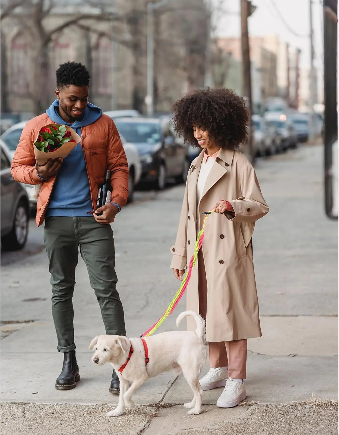 Mile High Life Bungee Dog Leash - Gentle Pull Training Lead with Soft Comfort Texture, 3-5 Feet Length for Dogs and Cats Under 20 lbs (Lime/Pink) Universal Promotions
