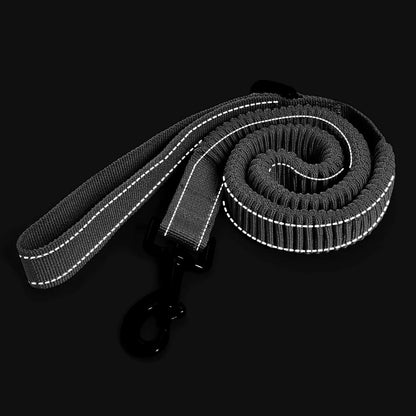 Universal Promotions Mile High Life Bungee Dog Leash For Small Dogs Elastic Stretch 3 To 5 Feet In Blue Orange Lime Pink - Animals & Pet Supplies > Pet Supplies > Pet Leashes Dog