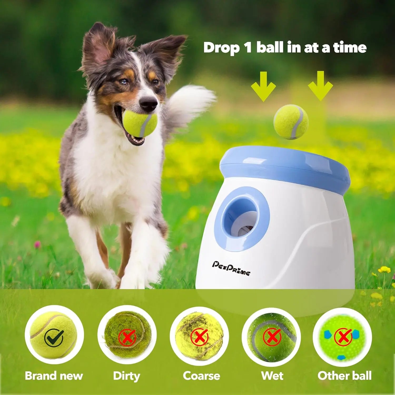 Pet Prime Automatic Ball Launcher for Small and Medium Dogs PetPrime