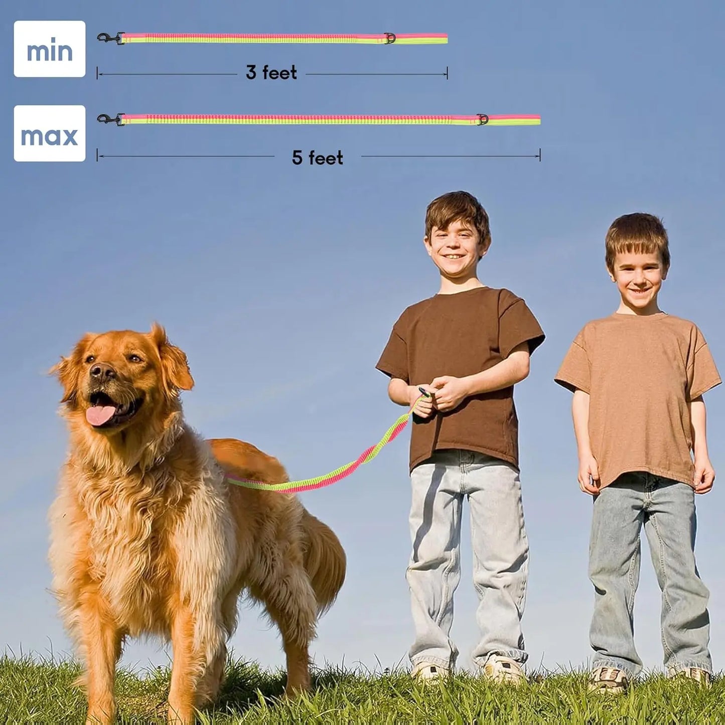 Mile High Life Bungee Dog Leash - Gentle Pull Training Lead with Soft Comfort Texture, 3-5 Feet Length for Dogs and Cats Under 20 lbs (Lime/Pink) Universal Promotions