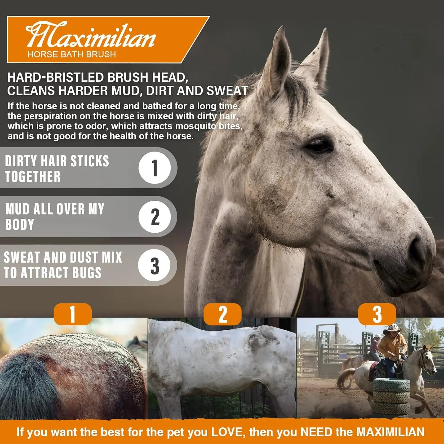 MAXIMILIAN Premium Handmade Stiff Body Horse Brush - Professional Grooming Tool for Effortless Mud, Sweat, and Dirt Removal MAXIMILIAN