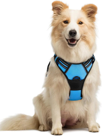 Rabbitgoo Dog Harness No Pull with 2 Leash Clips GLOBEGOU CO.,LTD