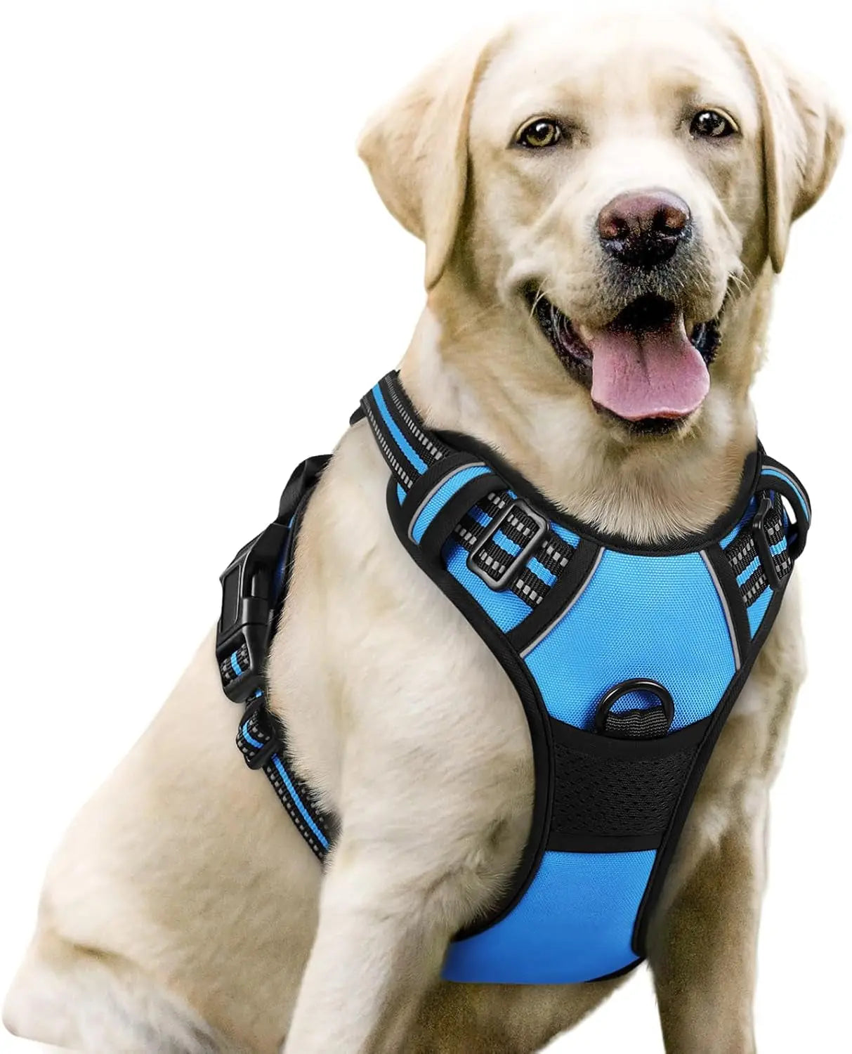 Rabbitgoo Dog Harness No Pull with 2 Leash Clips GLOBEGOU CO.,LTD