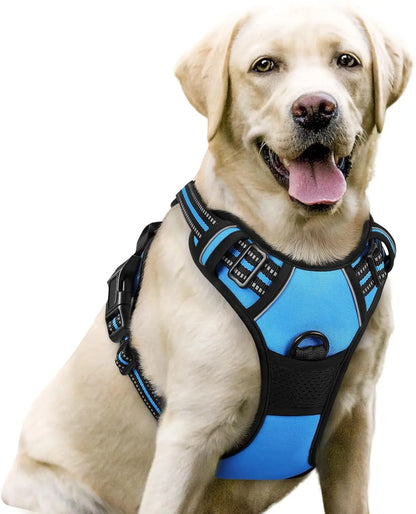 Rabbitgoo Dog Harness No Pull with 2 Leash Clips GLOBEGOU CO.,LTD