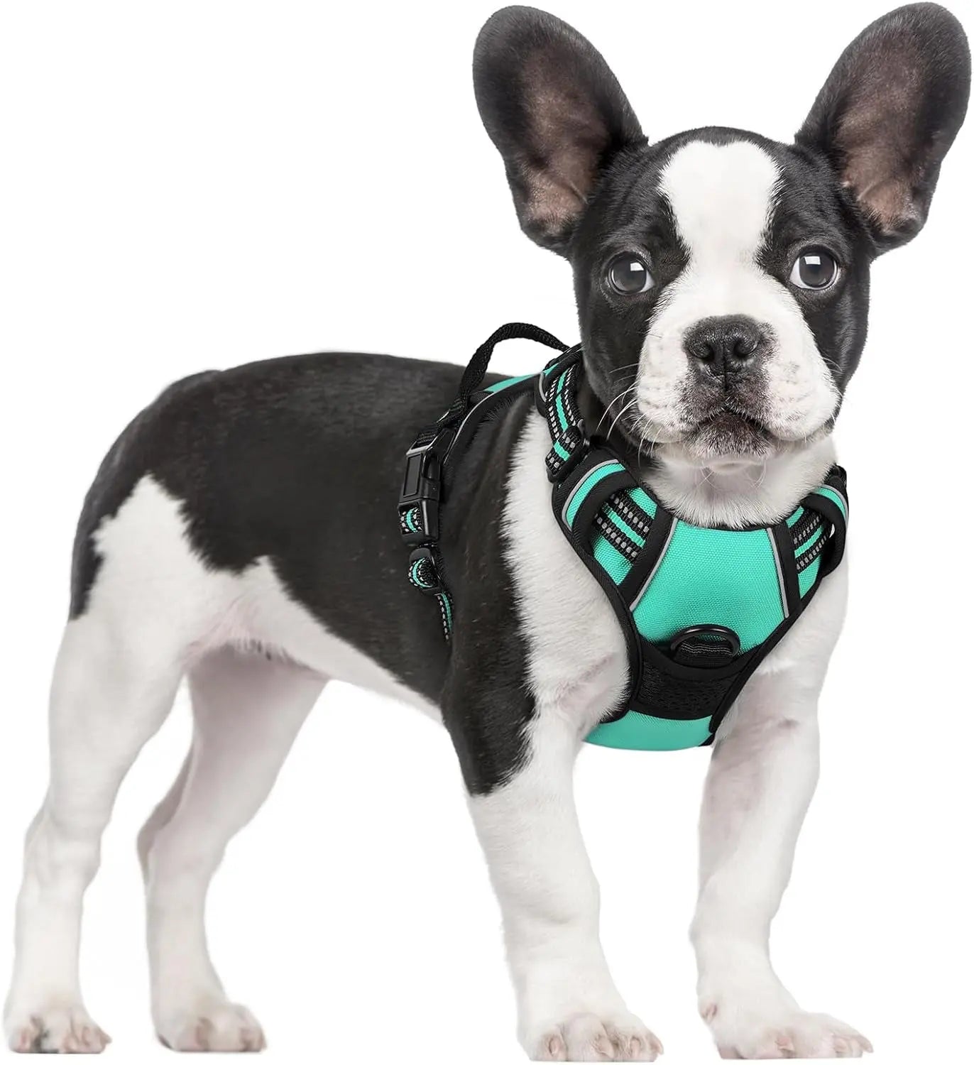 GLOBEGOU CO.,LTD Rabbitgoo Large Dog Harness No Pull Adjustable Soft Padded Vest Reflective Oxford Material Red Plaid Dual Leash Clips - Animals & Pet Supplies > Pet Supplies > Pet Collars & Harnesses Dog