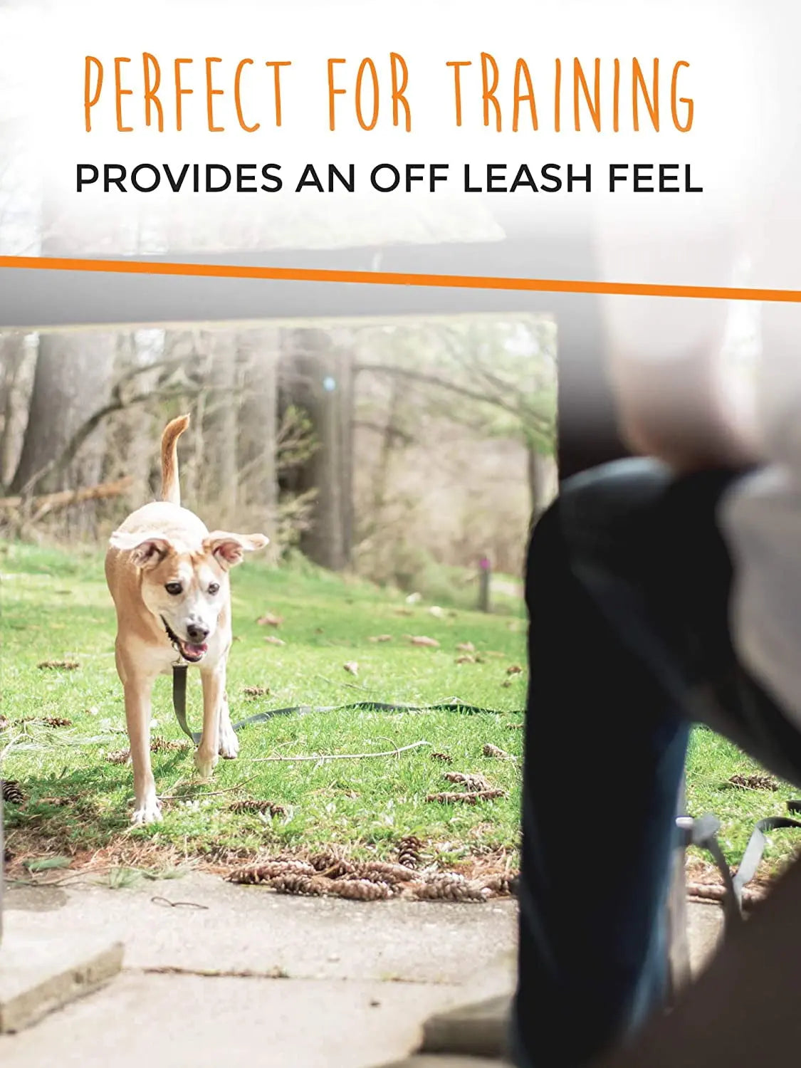Mighty Paw 15Ft Long Dog Leash - Ultimate Training Tool for Dogs with Padded Handle and Waterproof Durability Mighty Paw