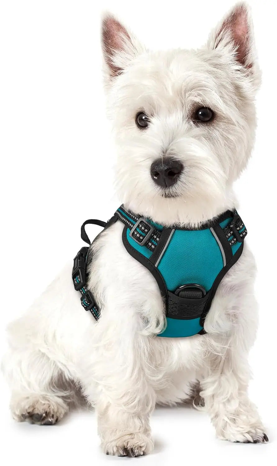 Rabbitgoo Dog Harness No Pull with 2 Leash Clips GLOBEGOU CO.,LTD