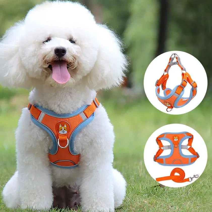 White fluffy dog wearing orange reflective breathable pet harness with leash on grass outdoors