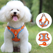 Dog Hugs Cat Reflective Breathable Pet Harness With Leash For Ultimate Comfort And Safety Adjustable Dog And Cat Harness Set - Animals & Pet Supplies > Pet Supplies > Pet Collars & Harnesses > Harnesses Dog Collars, Leashes & Harnesses