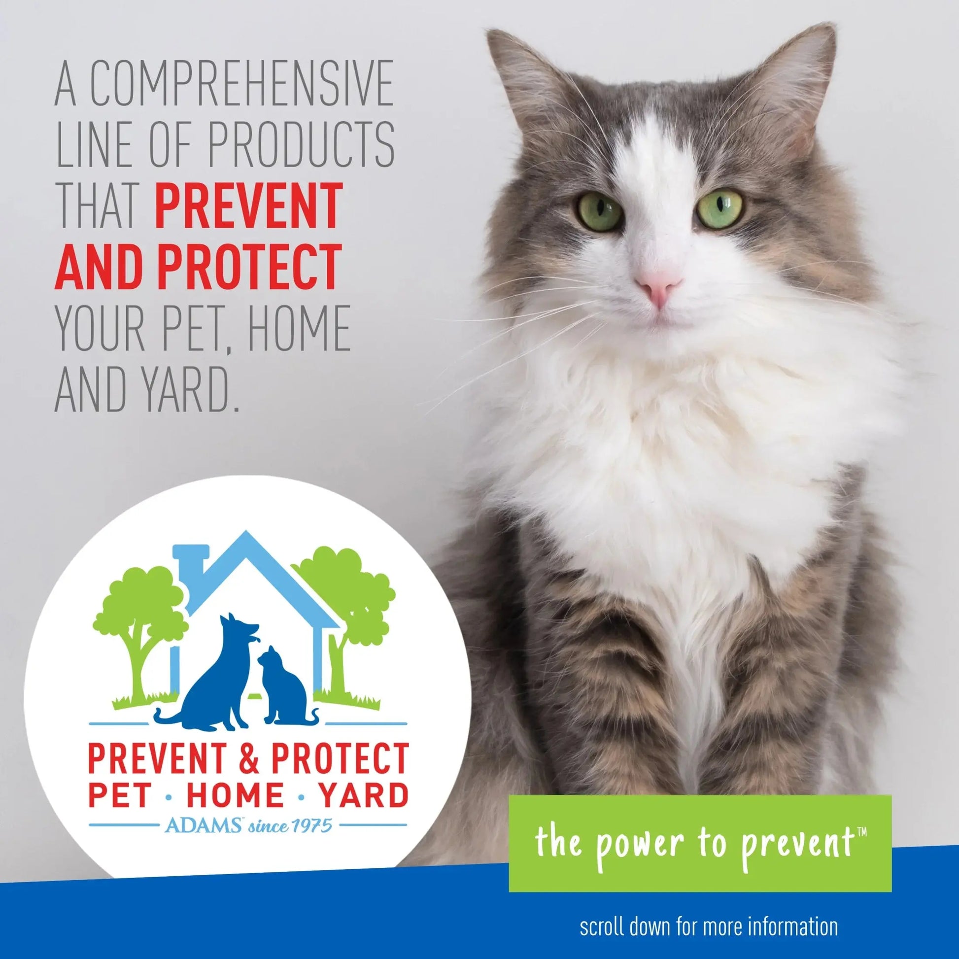 Adams Plus Flea & Tick Indoor Fogger - 3 Ounce Pack for Comprehensive Pest Control Adama