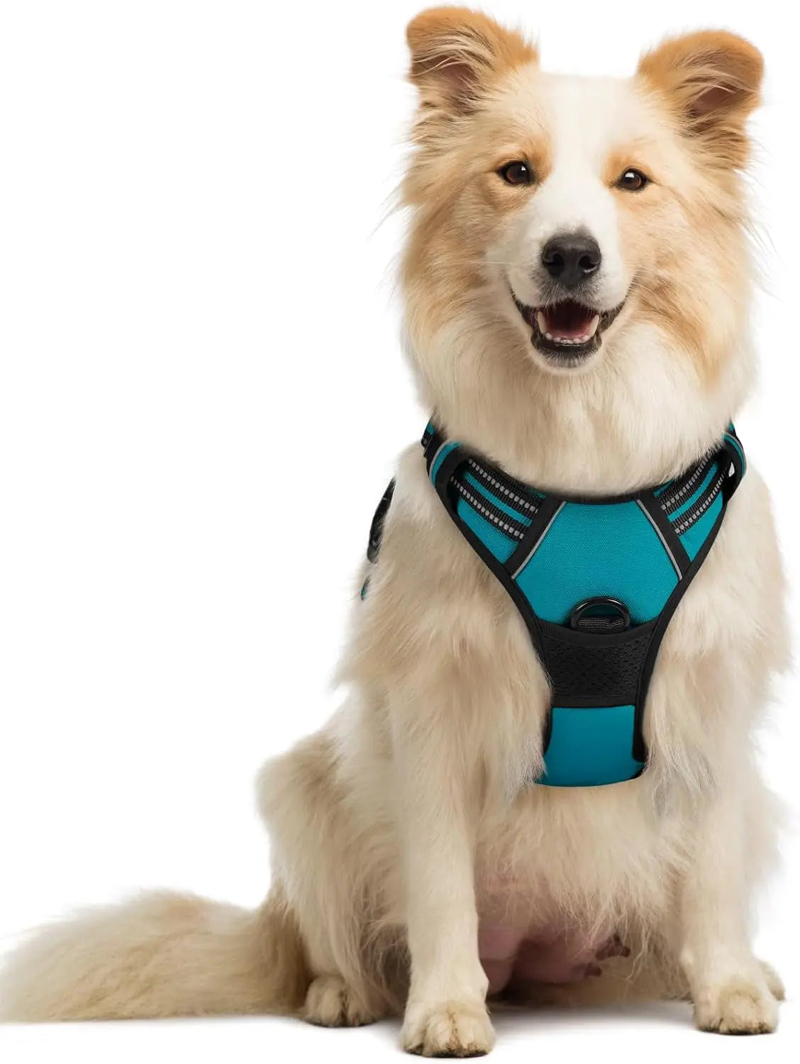 Rabbitgoo Dog Harness No Pull with 2 Leash Clips GLOBEGOU CO.,LTD
