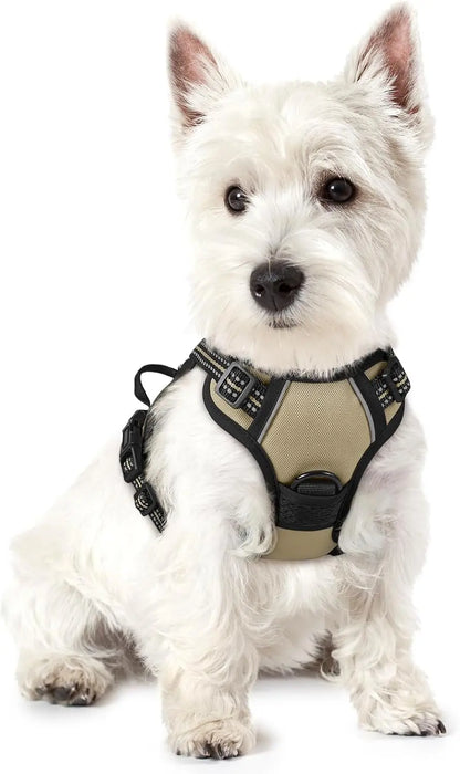 Rabbitgoo Dog Harness No Pull with 2 Leash Clips GLOBEGOU CO.,LTD