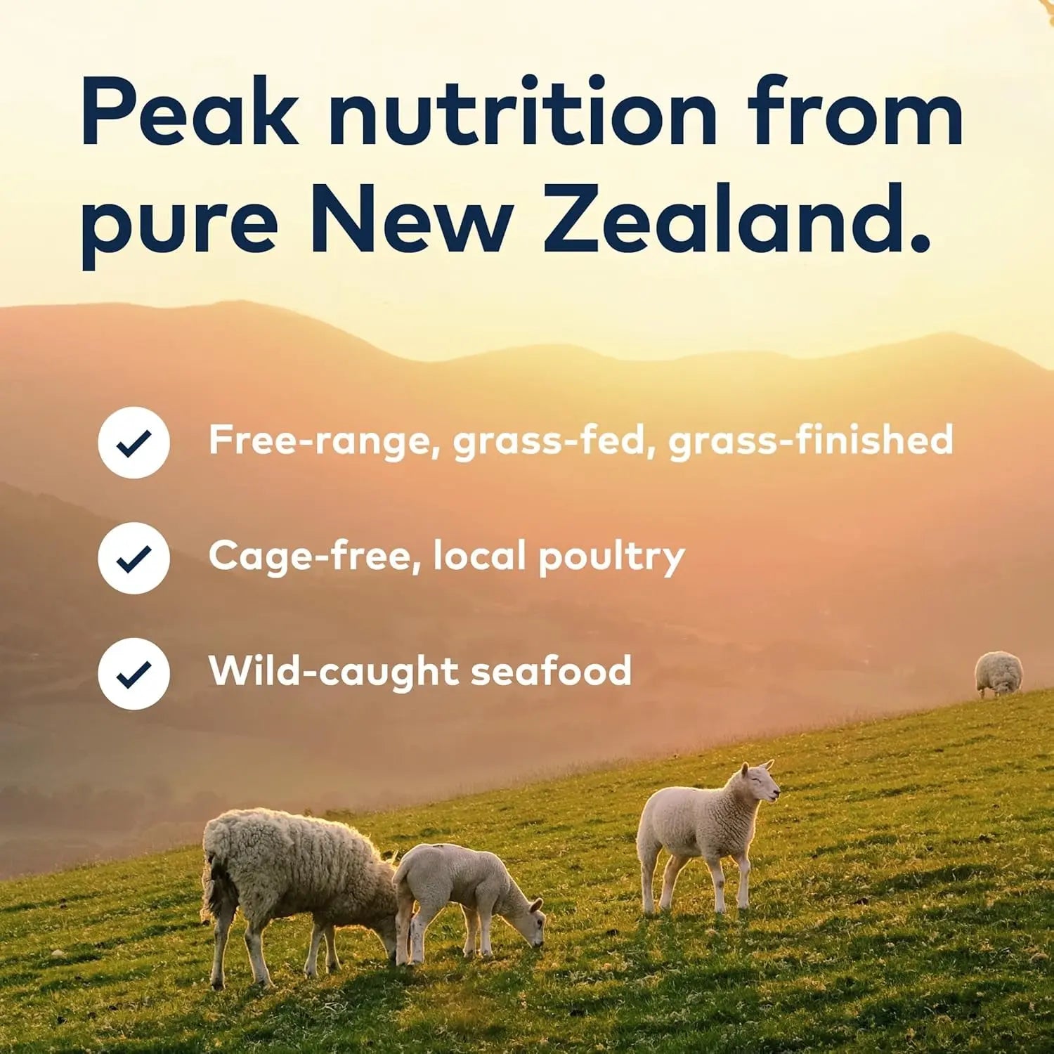 Peak Air-Dried Dog Food – Beef - All Natural, High Protein, Grain Free, Limited Ingredient W/ Superfoods (16Oz) Excel Pets