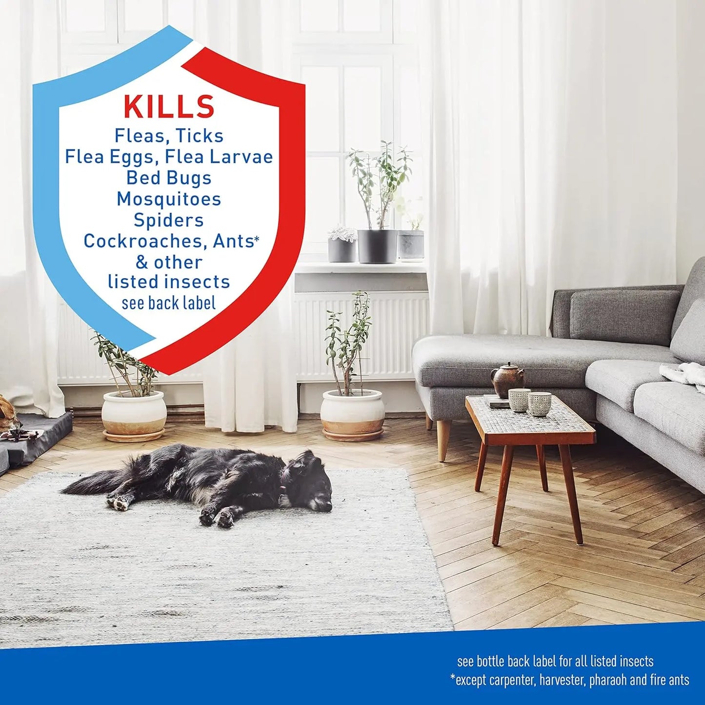 Adams Adams Flea and Tick Home Spray With Precor Kills Fleas Eggs Ticks Bed Bugs and More 24 Fl Oz - Home & Garden > Household Supplies > Pest Control > Pesticides > Miticides cat