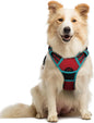 GLOBEGOU CO.,LTD Rabbitgoo Large Dog Harness No Pull Adjustable Soft Padded Vest Reflective Oxford Material Red Plaid Dual Leash Clips - Animals & Pet Supplies > Pet Supplies > Pet Collars & Harnesses Dog