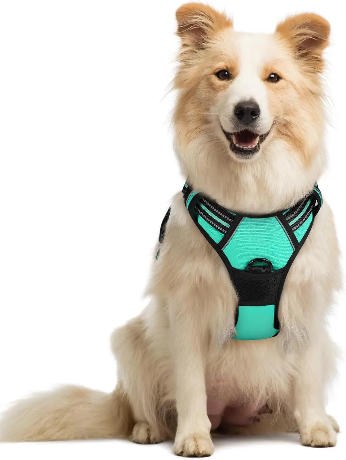 GLOBEGOU CO.,LTD Rabbitgoo Large Dog Harness No Pull Adjustable Soft Padded Vest Reflective Oxford Material Red Plaid Dual Leash Clips - Animals & Pet Supplies > Pet Supplies > Pet Collars & Harnesses Dog