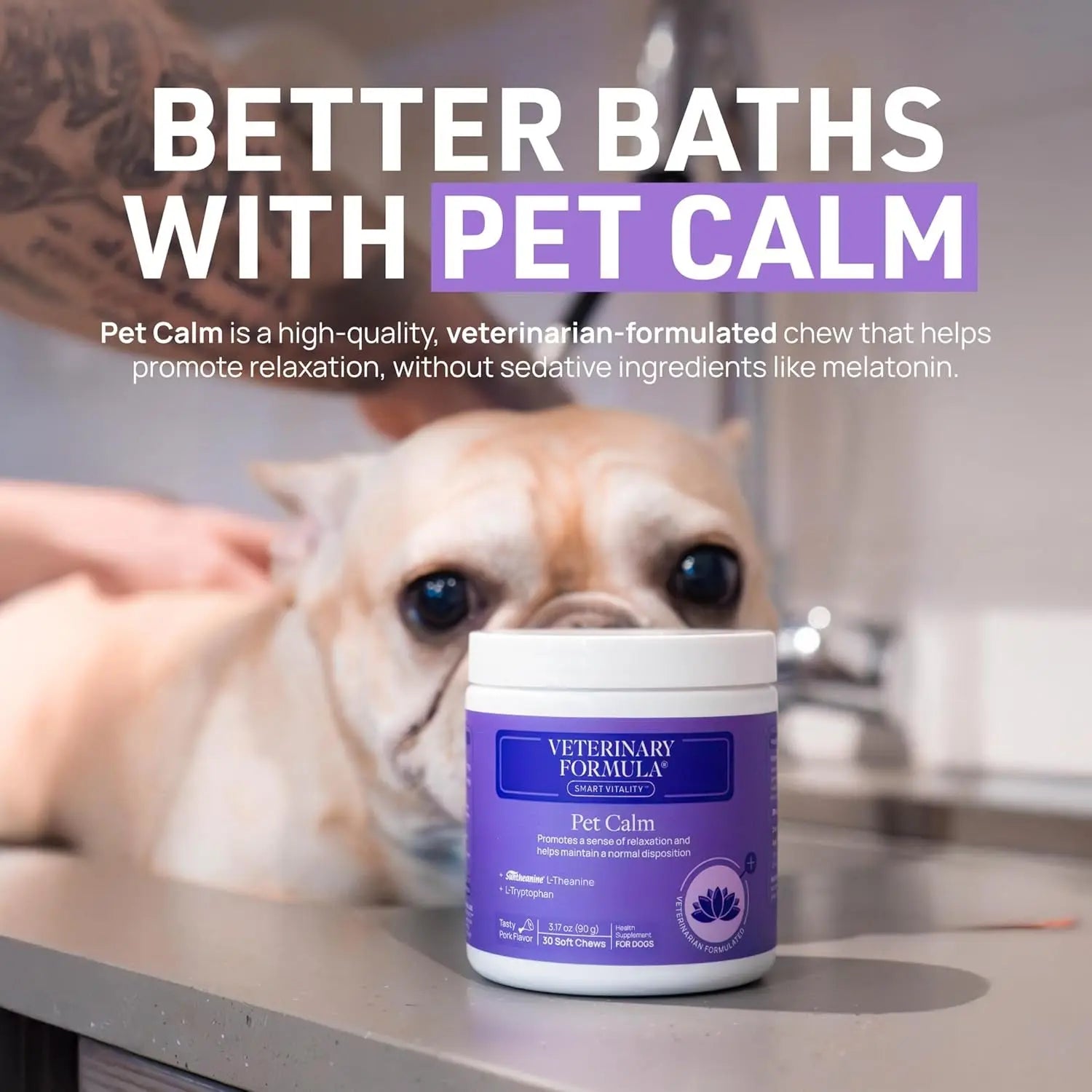 Clinical Care Antiseptic and Antifungal Medicated Shampoo for Dogs & Cats, 16 Fl Oz Excel Pets