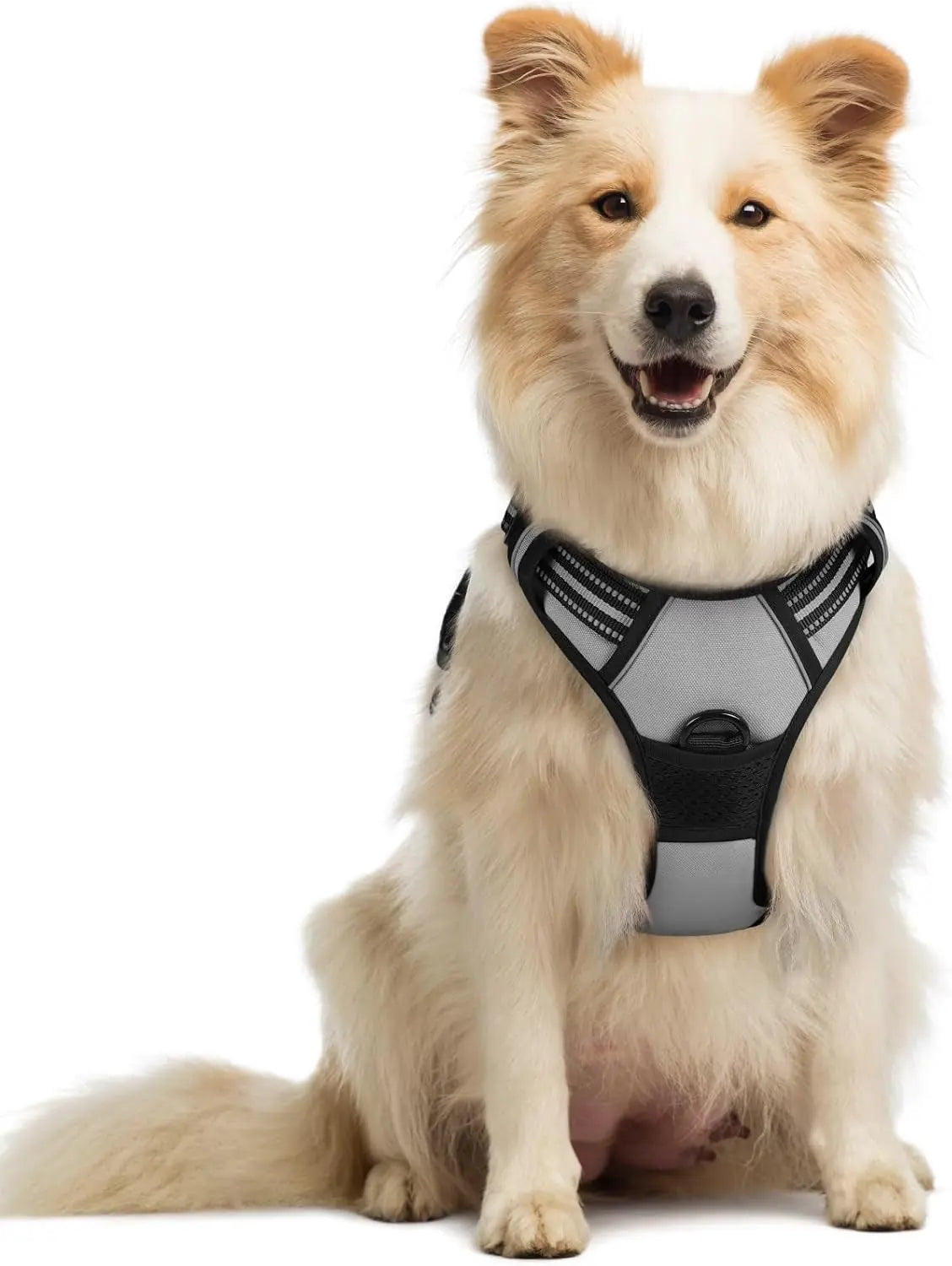 GLOBEGOU CO.,LTD Rabbitgoo Large Dog Harness No Pull Adjustable Soft Padded Vest Reflective Oxford Material Red Plaid Dual Leash Clips - Animals & Pet Supplies > Pet Supplies > Pet Collars & Harnesses Dog