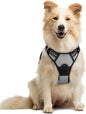 GLOBEGOU CO.,LTD Rabbitgoo Large Dog Harness No Pull Adjustable Soft Padded Vest Reflective Oxford Material Red Plaid Dual Leash Clips - Animals & Pet Supplies > Pet Supplies > Pet Collars & Harnesses Dog