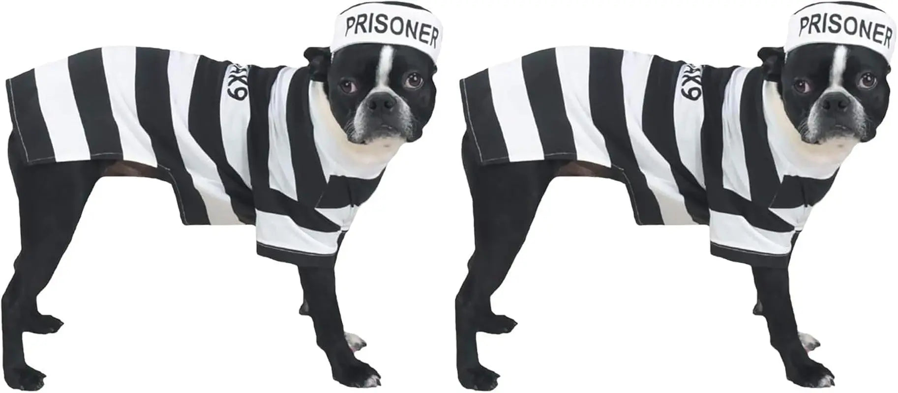 PetEdge Dealer Services* Stylish Prison Pooch Costume For Medium Dogs Black And White Halloween Outfit For Trick Or Treating - Animals & Pet Supplies > Pet Supplies > Pet Apparel > Pet Costumes Dog
