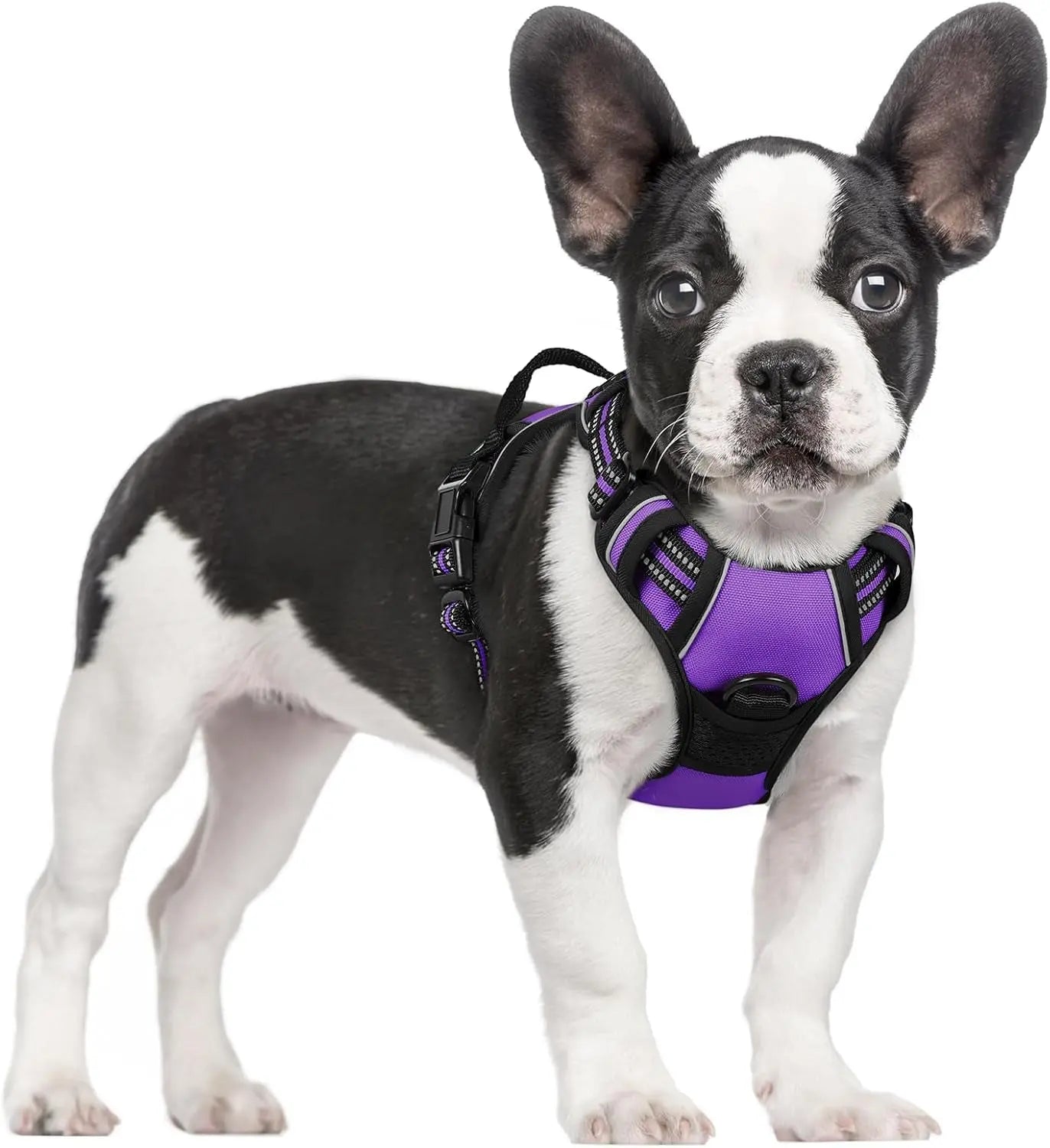 GLOBEGOU CO.,LTD Rabbitgoo Large Dog Harness No Pull Adjustable Soft Padded Vest Reflective Oxford Material Red Plaid Dual Leash Clips - Animals & Pet Supplies > Pet Supplies > Pet Collars & Harnesses Dog