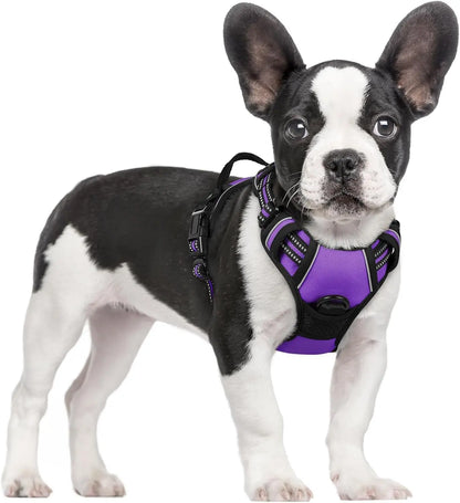 Rabbitgoo Dog Harness No Pull with 2 Leash Clips GLOBEGOU CO.,LTD