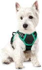 GLOBEGOU CO.,LTD Rabbitgoo Large Dog Harness No Pull Adjustable Soft Padded Vest Reflective Oxford Material Red Plaid Dual Leash Clips - Animals & Pet Supplies > Pet Supplies > Pet Collars & Harnesses Dog