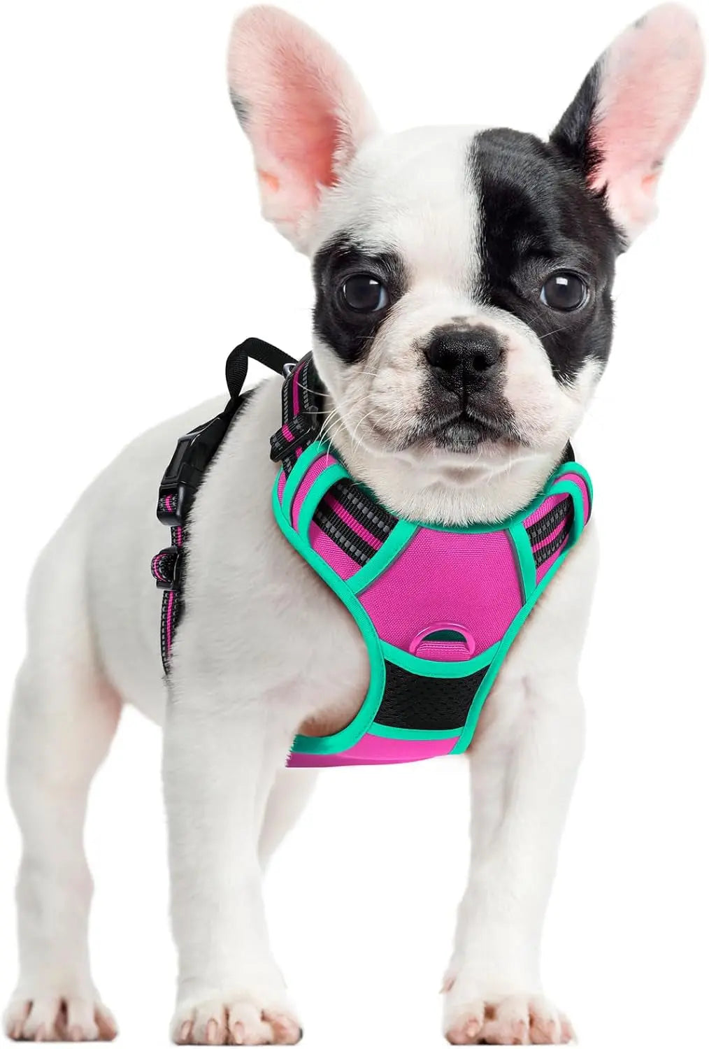GLOBEGOU CO.,LTD Rabbitgoo Large Dog Harness No Pull Adjustable Soft Padded Vest Reflective Oxford Material Red Plaid Dual Leash Clips - Animals & Pet Supplies > Pet Supplies > Pet Collars & Harnesses Dog