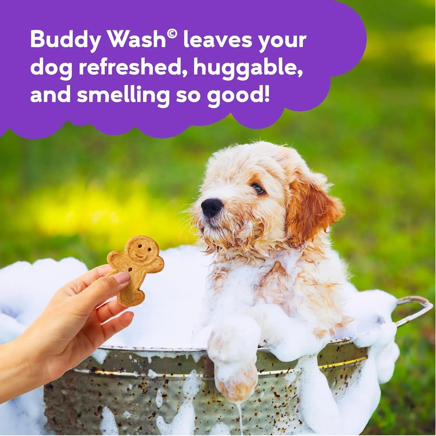 Buddy Wash 2-In-1 Dog Shampoo and Conditioner for Dog Grooming, Lavender & Mint, 1 Gal. Bottle Excel Pets