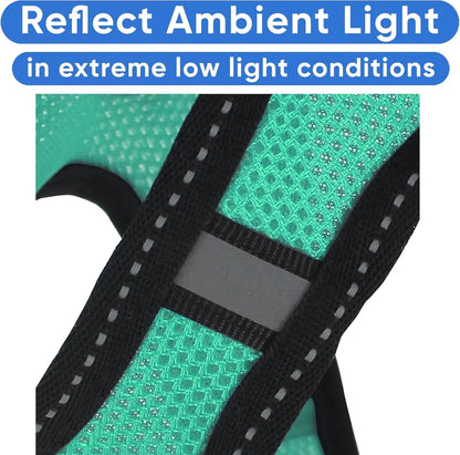 Pawtitas Dog Harness Made with Breathable Air Mesh | Pawtitas